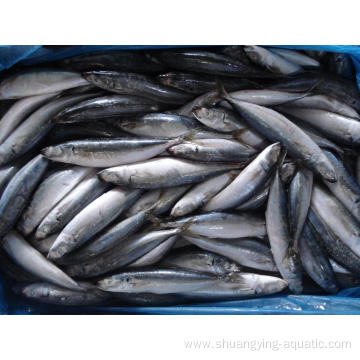 Frozen Horse Mackerel Whole Round Fish Price 10kg/Carton